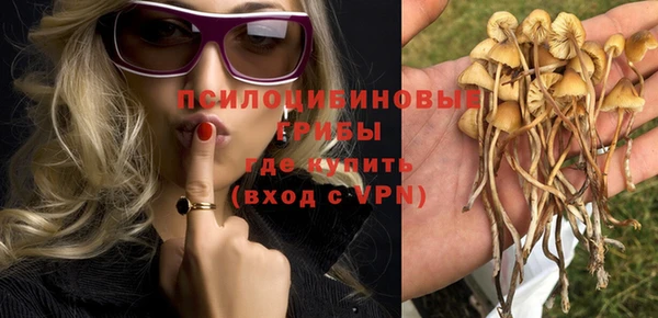 трава Арсеньев