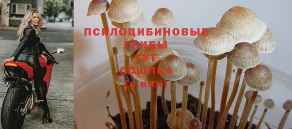кокаин Аркадак