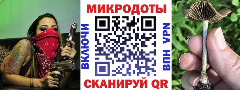 Галлюциногенные грибы мицелий  купить  цена  Большой Камень 